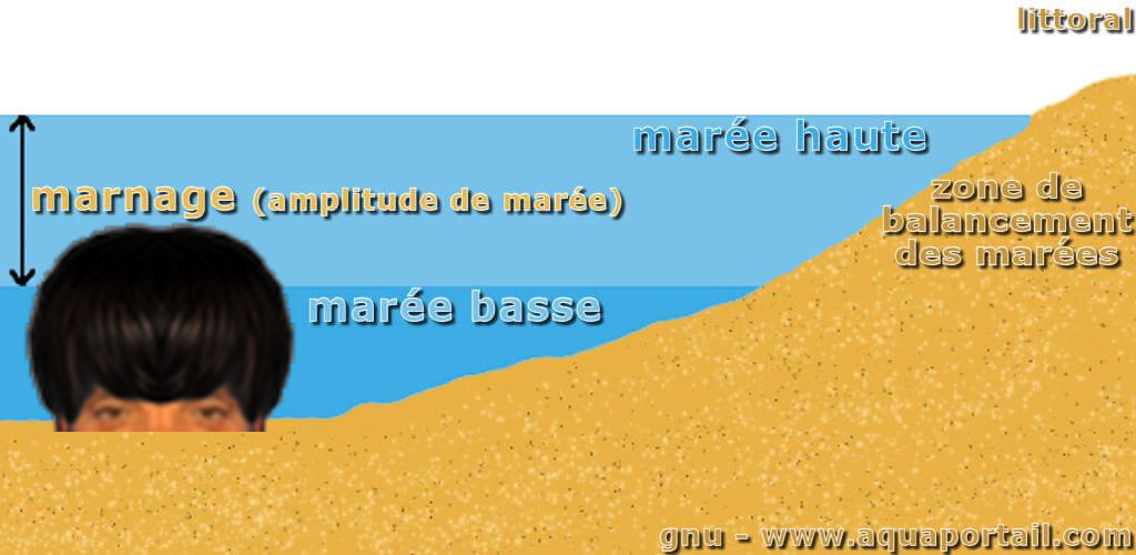 puceauetseul puceau seul bas golem naturelle marnage maree