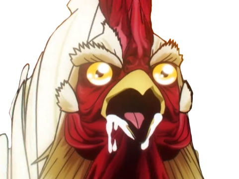 niwatori fighter rooster coq de baston keiji