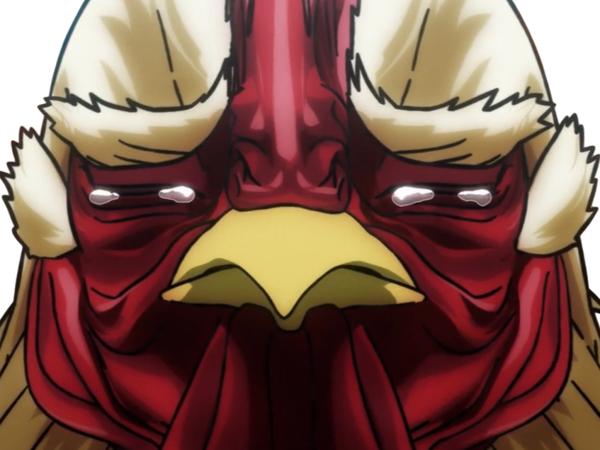 niwatori fighter rooster coq de baston keiji