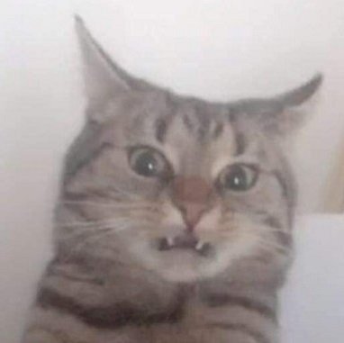 katz deg arf pff wut hum gne miedo creep oscuro trash xpln duda quizz way