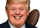 trump-trisomique-castor