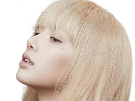 Sticker agathe lisa blackpink kpop kj la douce anais arseneur reviens bordel moupe par Dark-63
