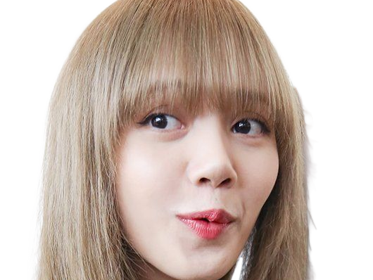 agathe lisa blackpink kpop kj la douce anais arseneur reviens bordel moupe