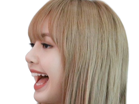 Sticker agathe lisa blackpink kpop kj la douce anais arseneur reviens bordel moupe par Dark-63
