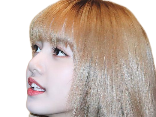 Sticker agathe lisa blackpink kpop kj la douce anais arseneur reviens bordel moupe par Dark-63