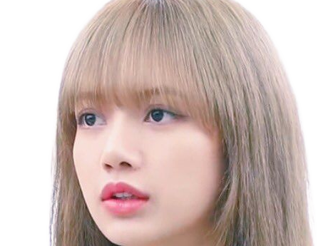 Sticker agathe lisa blackpink kpop kj la douce anais arseneur reviens bordel moupe par Dark-63