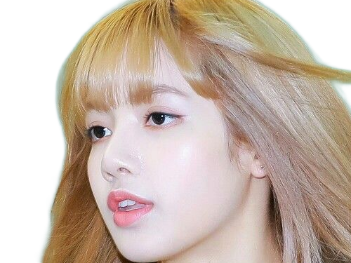 Sticker agathe lisa blackpink kpop kj la douce anais arseneur reviens bordel moupe par Dark-63