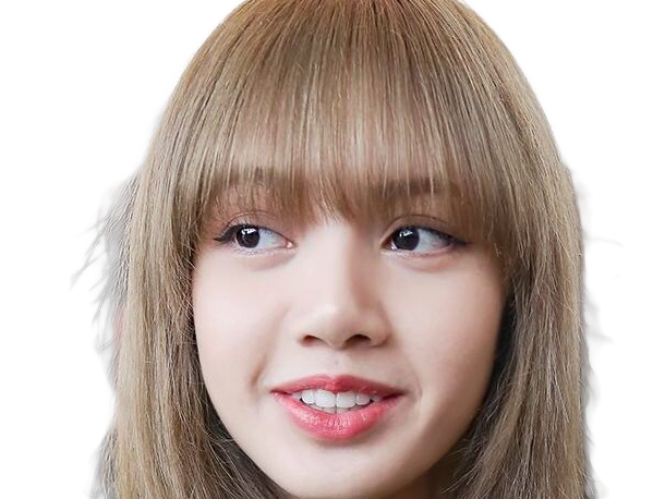 Sticker agathe lisa blackpink kpop kj la douce anais arseneur reviens bordel moupe par Dark-63