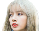 agathe-lisa-blackpink-kpop-kj-la-douce-anais-arseneur-reviens-bordel-moupe
