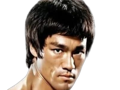 bruce lee jun fan artiste martial acteur realisateur producteur scenariste chinois americain homme jeet kune