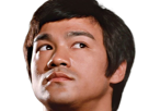 bruce-lee-jun-fan-artiste-martial-acteur-realisateur-producteur-scenariste-chinois-americain-homme-jeet-kune