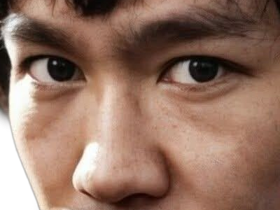 bruce lee jun fan artiste martial acteur realisateur producteur scenariste chinois americain homme jeet kune