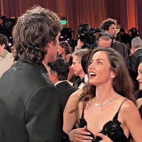 sigma omega beta alfa mgtow redpill pills pucix mog pick charm seduce admire hypno vibe