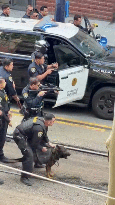 penal 135 swat bri pig jail arrest wasted cuff busted glow fbi susp carcel gav