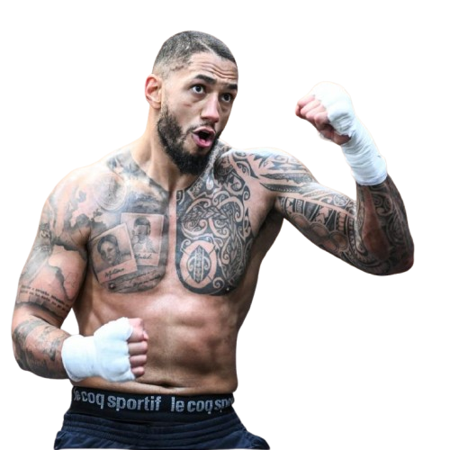 tony yoka scandale ligre