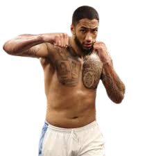 tony yoka scandale ligre