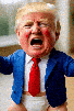 trump-donald-gif-pleure-chiale-miaule-bebe-caprice-couche-crise-maga