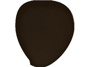 chat gif trou rentre sa tete coucou salut renifle intrigue regarde a travers bonjour knifos