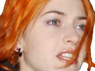 kate winslet eternal sunshine clementine kruczynski cheveux rouge fic bloop