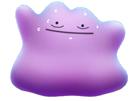 metamorph-pokemon-ditto-stress-sueur