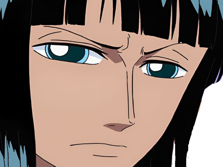 nico robin one piece ninon cheveux noir yeux bleu fic bloop