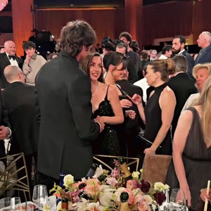 sigma omega beta alfa mgtow redpill pills pucix mog pick charm seduce admire hypno vibe