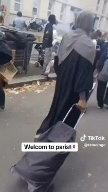 louvre seine eiffel tlm parasite gred sait cotise remplace taxe immigre visa oqtf nigga barbes