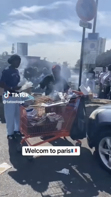 louvre seine eiffel tlm parasite gred sait cotise remplace taxe immigre visa oqtf nigga barbes