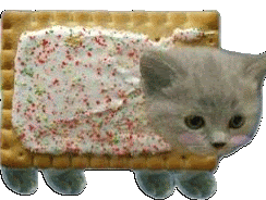 chat biscuit mignon sucre chaton animal nourriture kawaii cat cute chou drole marrant delicieux knifos