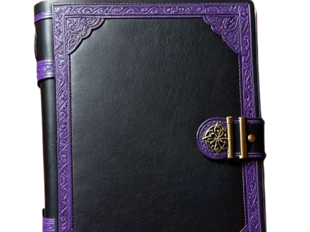 livre violet fic bloop