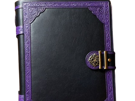 livre-violet-fic-bloop