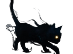 chat ombre noir sombre
