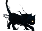 chat-ombre-noir-sombre