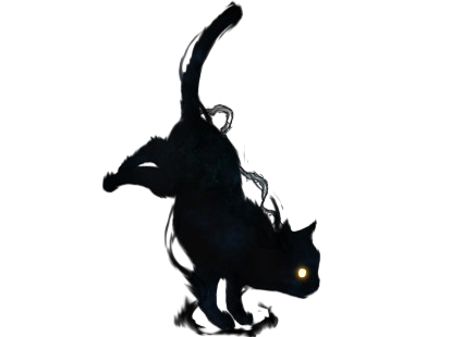 chat ombre noir sombre