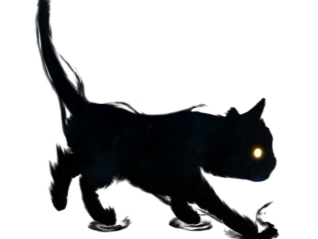 chat ombre noir sombre