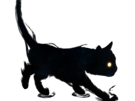chat-ombre-noir-sombre