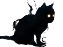 chat ombre noir sombre