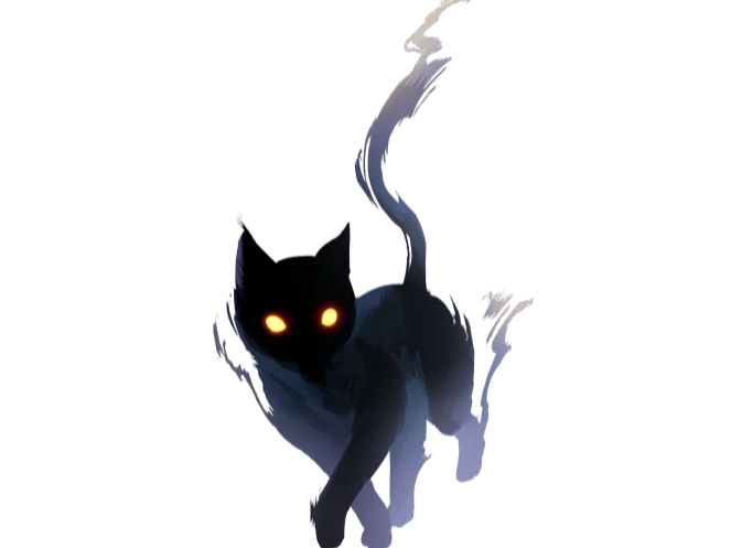 chat ombre noir sombre