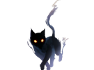 chat-ombre-noir-sombre