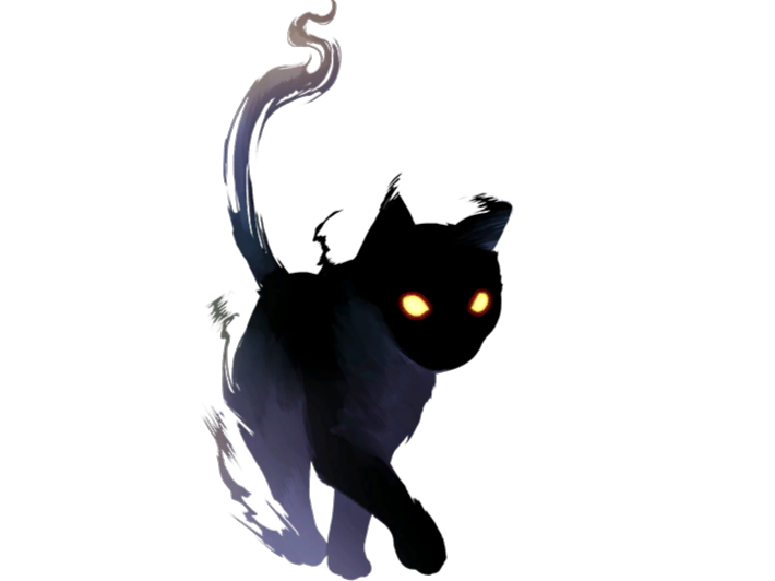 chat ombre noir sombre