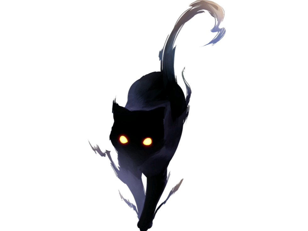 chat ombre noir sombre