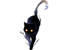 chat-ombre-noir-sombre