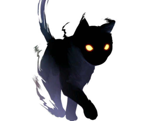 chat ombre noir sombre