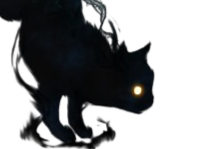 chat ombre noir sombre