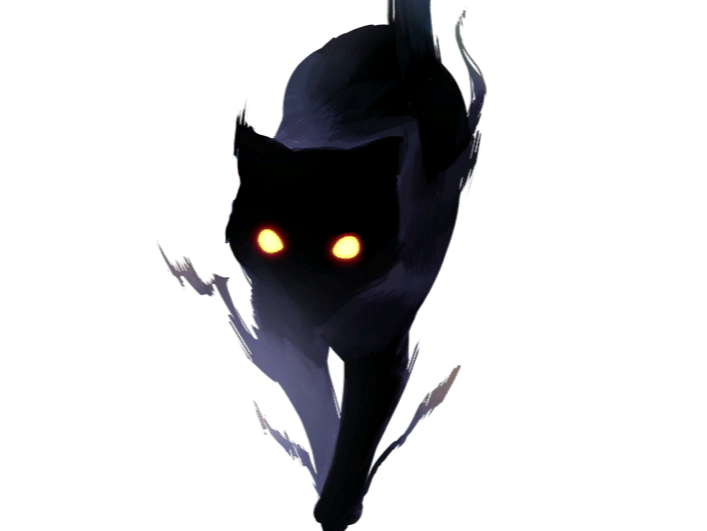 chat ombre noir sombre