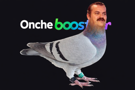 onche-booster-onchebooster-volutes-pigeon