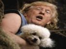 donald-trump-usa-etats-unis-president-buffalo-bill-silence-des-agneaux-tueur-serial-killer-chien