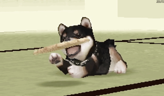 nintendogs ds chien dog gif