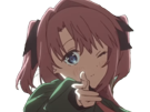 kamiina-botan