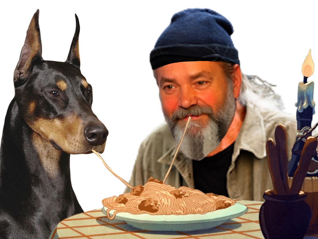 risitas winner clochard chien fidji